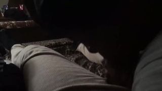 Cheating Cougar Wife Giving Drip a Nice Blowjob