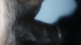 Slap me Daddy and Nut on my Face