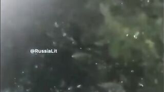 Russialit Compilation