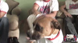 Horny ebony milf is sucking three cocks at the same time and gets cum on her face