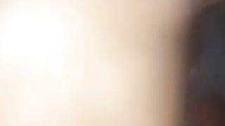 COOL BUTT YELLOWBONE from my apartment building letting me come over & clap the cheeks