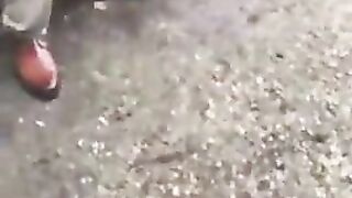 The Longest Penis in the World